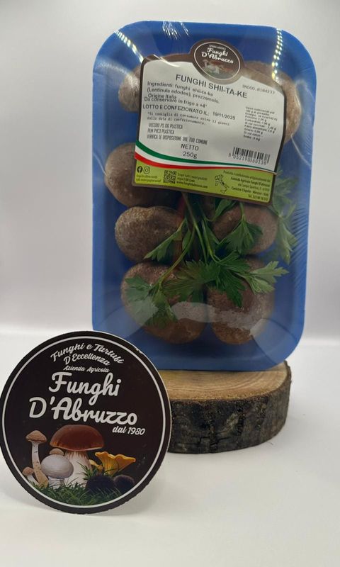 Lo Shiitake - gr 250