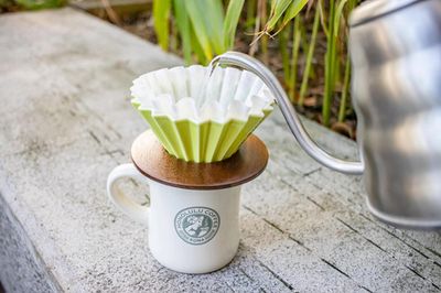 Dripper Origami De Ceramica Café De Especialidad Verde