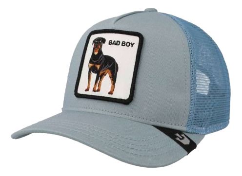 Gorro Visera Goorin Bros Bad Boy Truckin Celeste Único Lisa