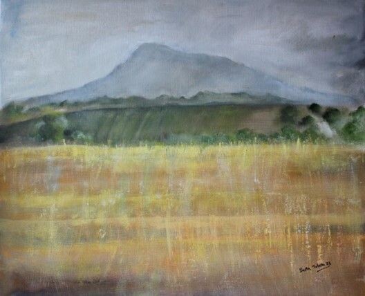 Campos de Alava