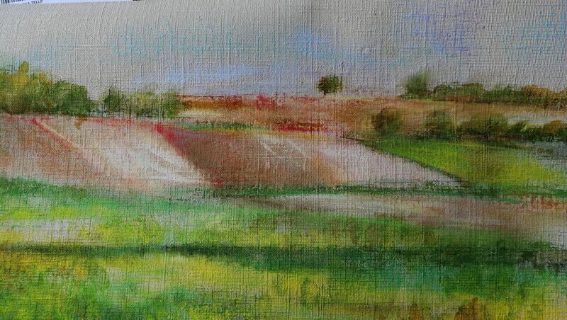 Campos verdes