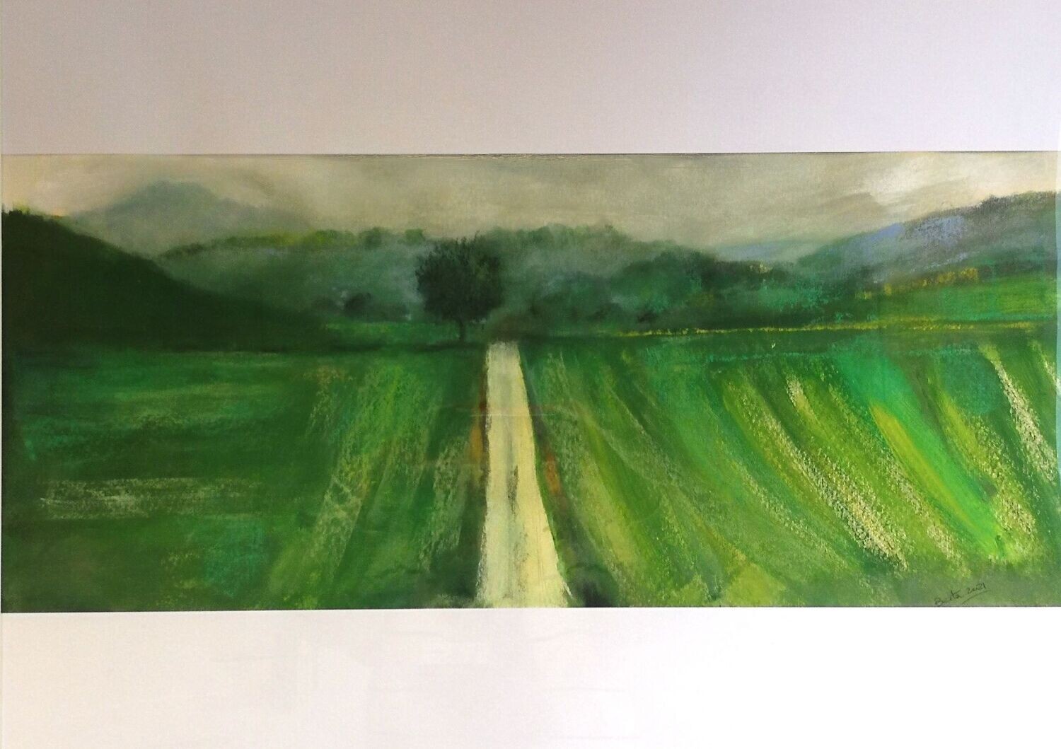 Camino y campos verdes