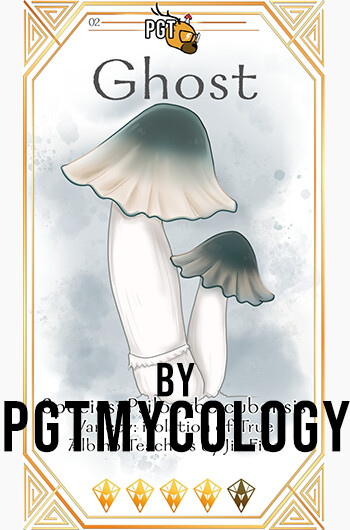 Ghost