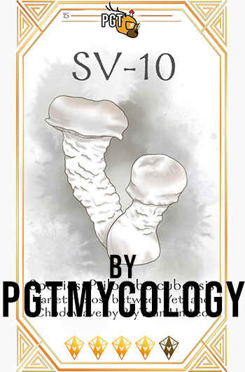 SV-10
