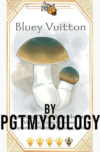 BV