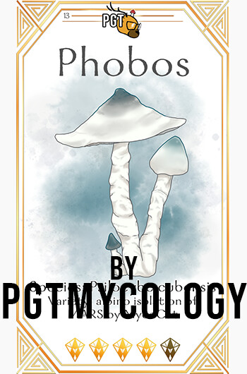 Phobos