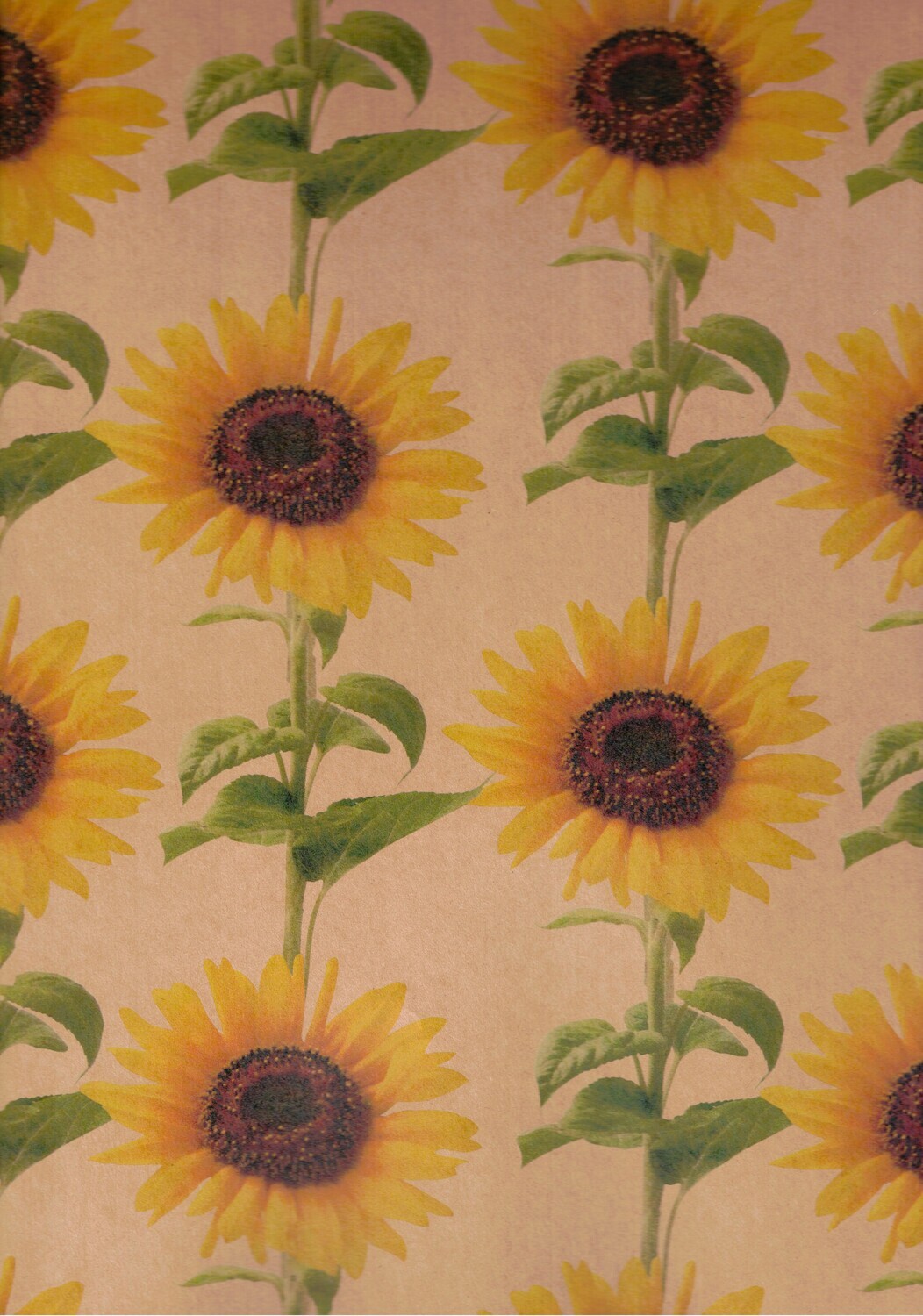 Papel kraft De Regalo C/10 Pz
