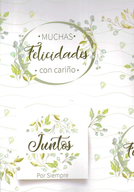 Papel De Regalo pad color C/5 Pza boda