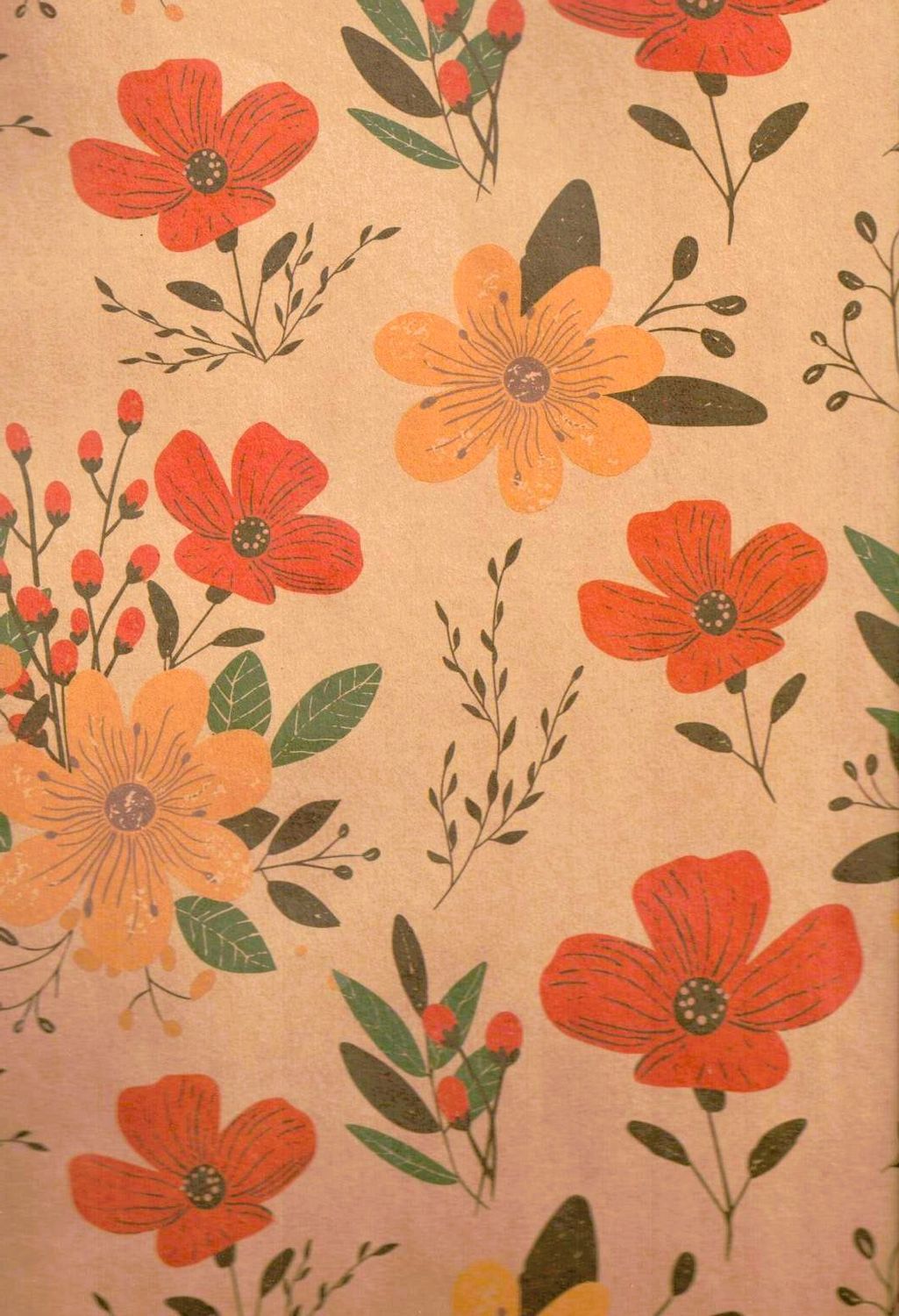 Papel kraft De Regalo C/10