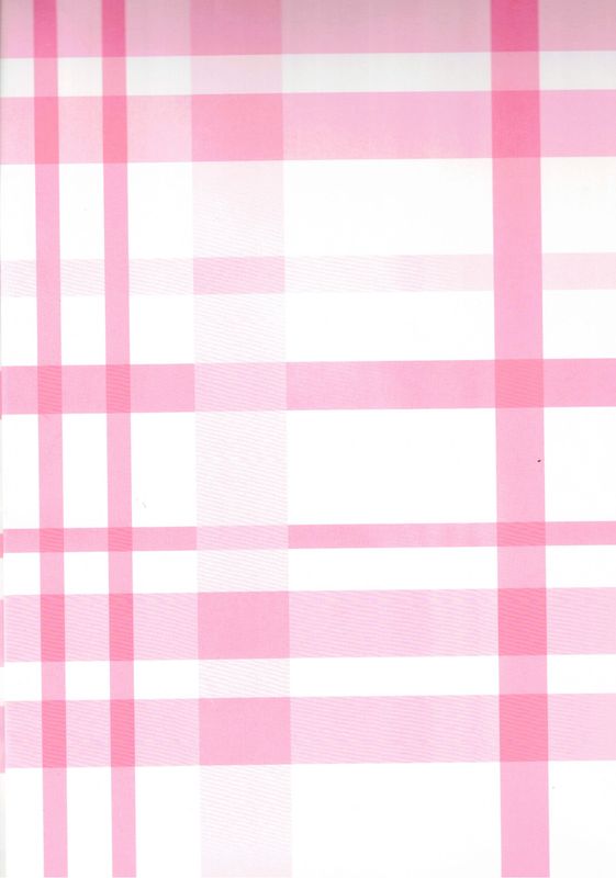 Papel De Regalo C/10 Pz lineas