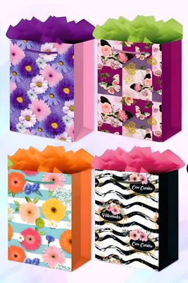 Bolsa de regalo Mediana PAD COLOR c/12