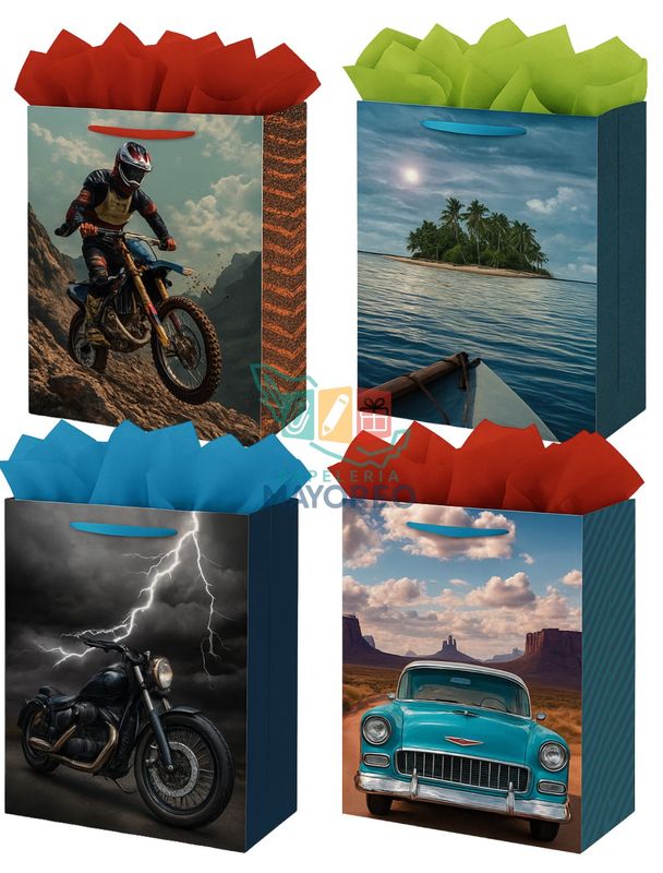 Bolsa de regalo C/12 MEDIANA Pad Color