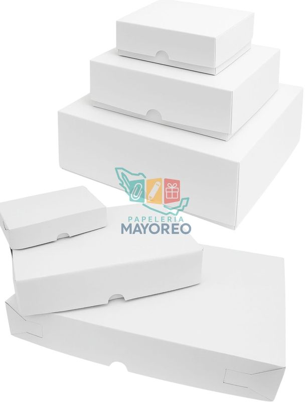 Cajas c/10 rectangular blanca num 5, 24.5x18+6 cm