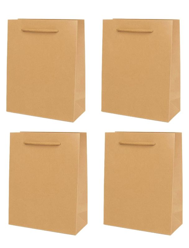 Bolsa Kraft 9 piezas 20x15 cm