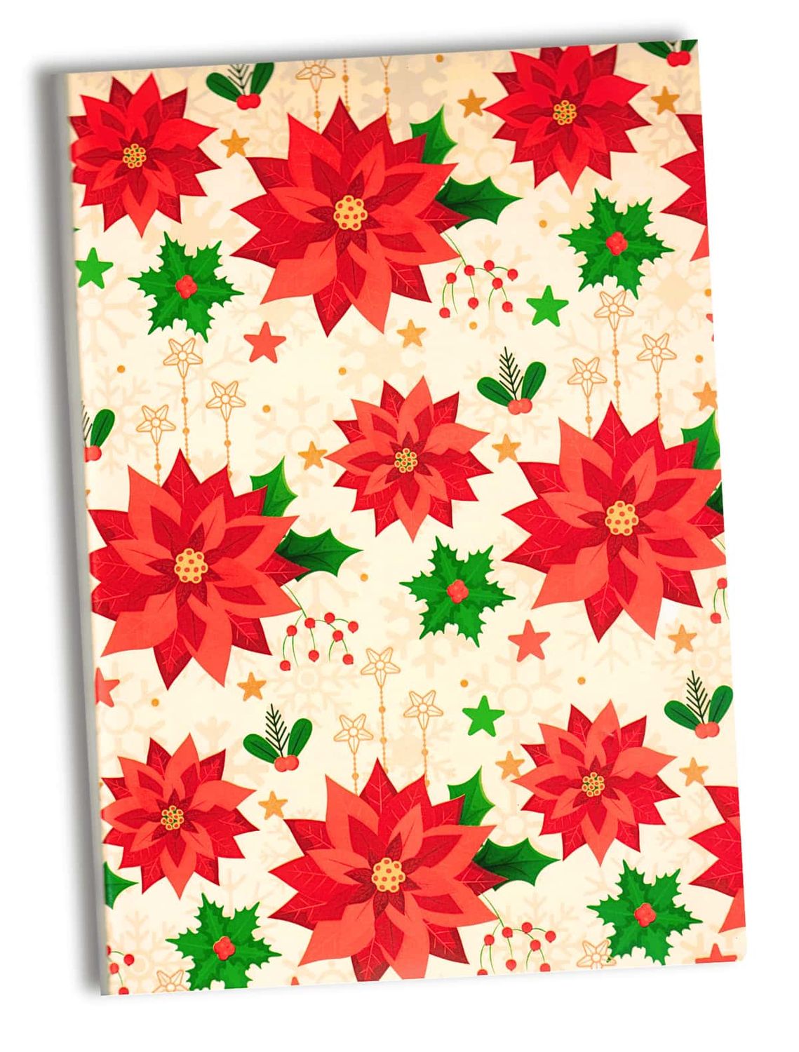 510049 Papel de Regalo Navideño C/10 pzas N121