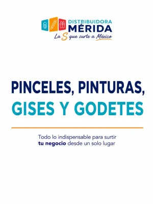 | Pinturas y arte escolar |