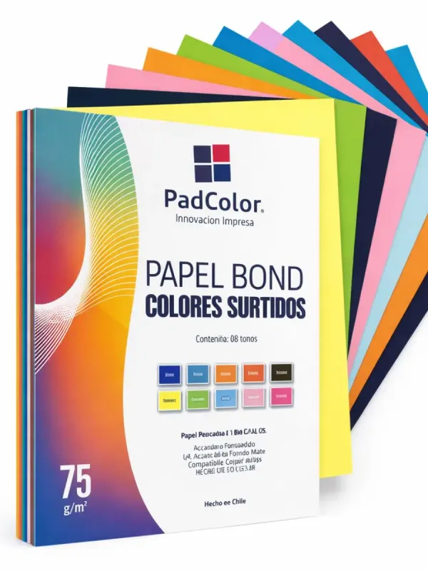 Hojas de Color Surtidas Tamaño Carta Paq. c/100 Paquete de hojas de color surtidas tamaño carta con 100 piezas.