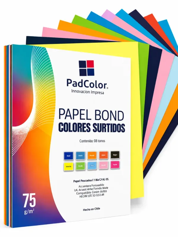 Paquete de 100 hojas de color surtidas tamaño carta Padcolor 75g