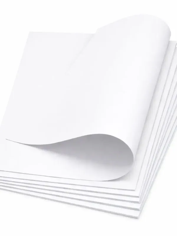 Cartulina Blanca (Paq. 10 pzs) Paquete de 10 cartulinas blancas de tamaño estándar