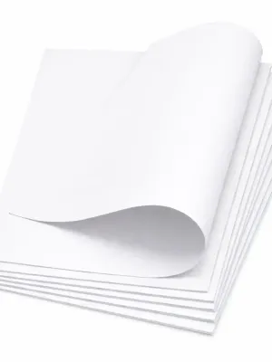 Paquete de 10 cartulinas blancas de tamaño estándar