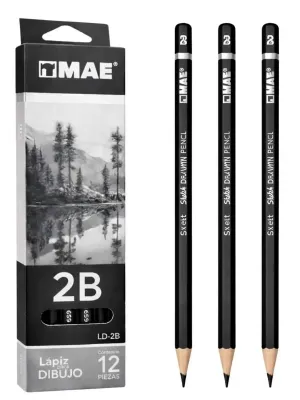 Venta por caja de lápices de grafito MAE 2B para surtir negocios en México.
