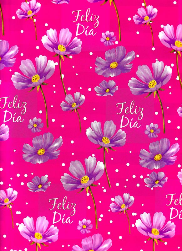 Papel de regalo c/10 pzas Dama