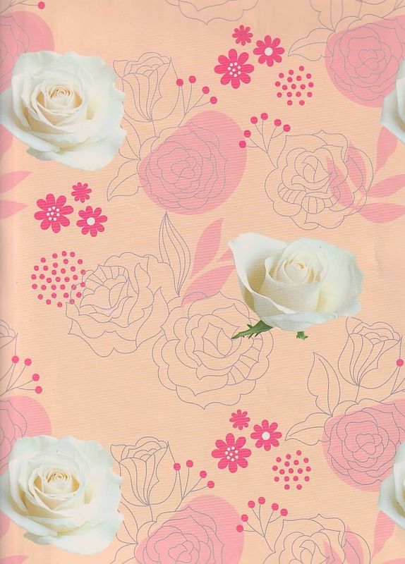 Papel de Regalo dipak (300) - 10 pzas Mayoreo