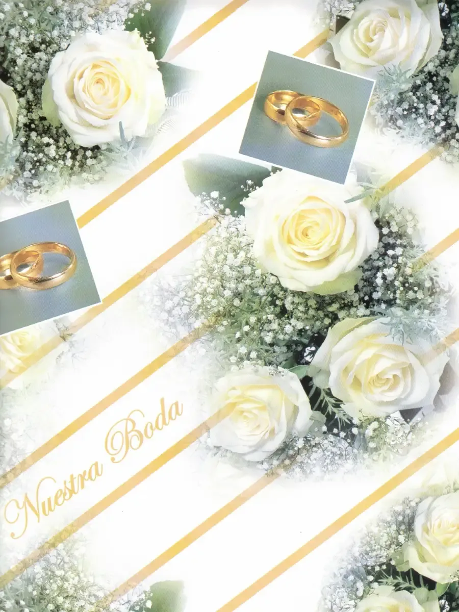 distribuidor papel regalo envoltura nupcial mayoreo mexico papeleria