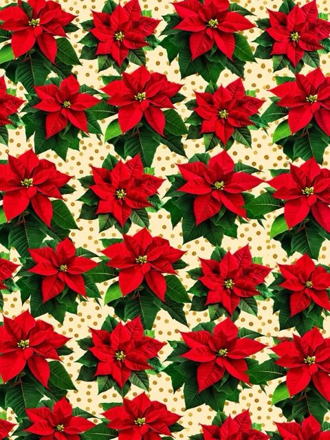Papel de Regalo Navideño c/10 – Mayoreo