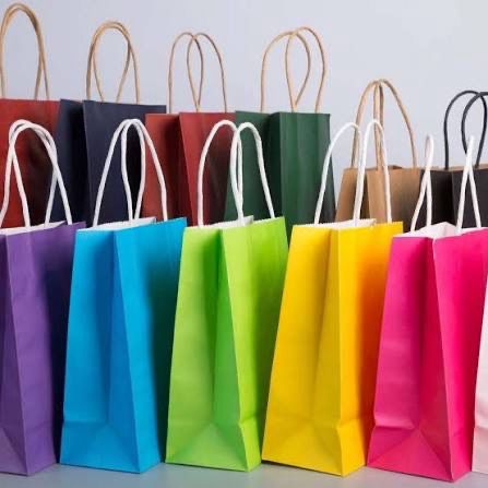 Craft Paper Bags(with Handle)