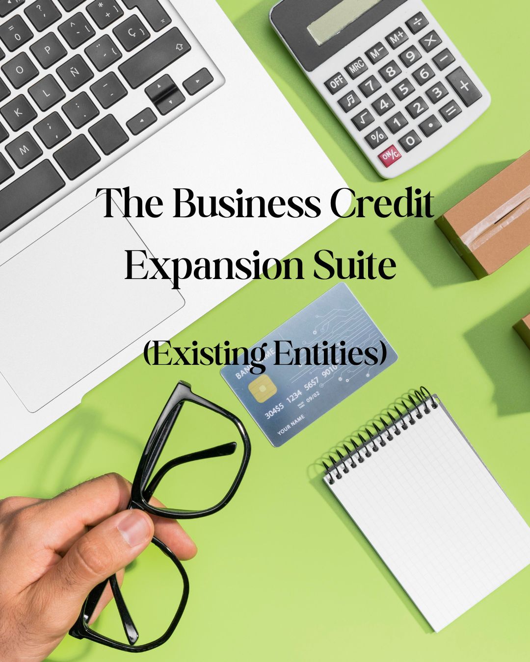 The Expansion: The Existing Business Credit Audit (For Existing Business Owners)