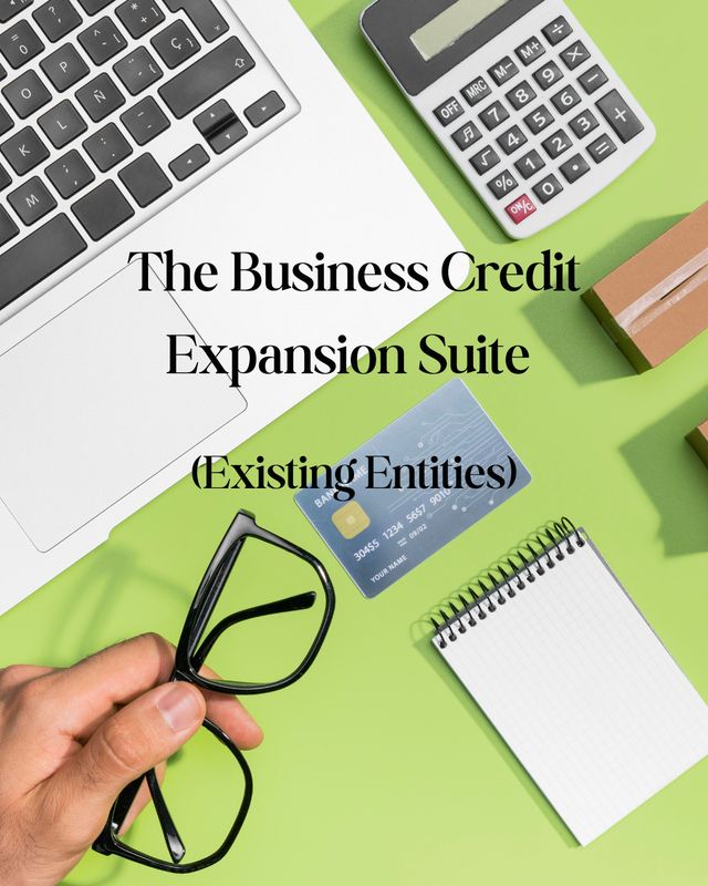 The Expansion: The Existing Business Credit Audit (For Existing Business Owners)