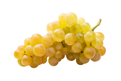Distilled/Grapes