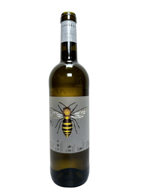 Bodega Verde, Carinena Blanco 750 mL