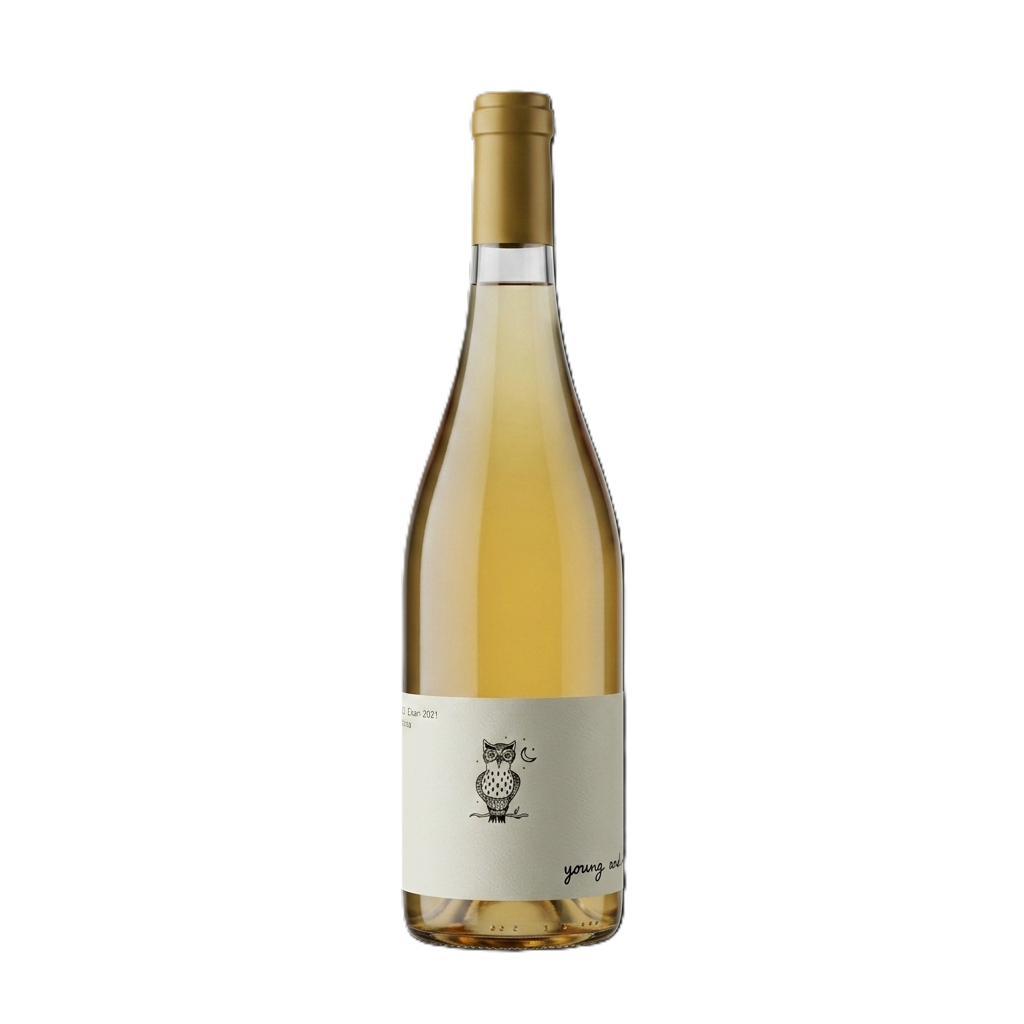 DISCONTINUED - Early Mountain Vidal Blanc 2021 Young Wine - White 750 mL