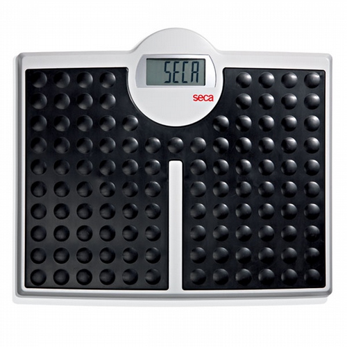 Seca 813 Electronic Flat Scale w/ Very High Capacity