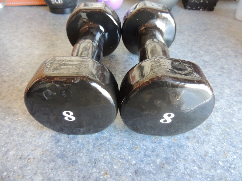 Vinyl 8LB Dumbbell
