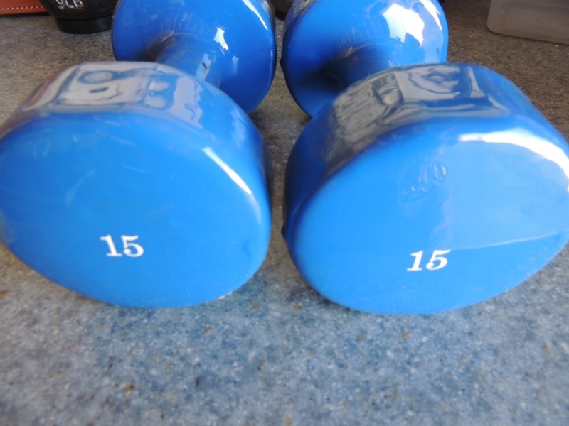 Vinyl 15LB Dumbbell