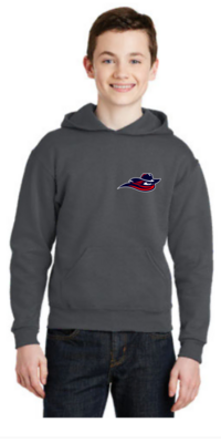 Classic Hoodies
