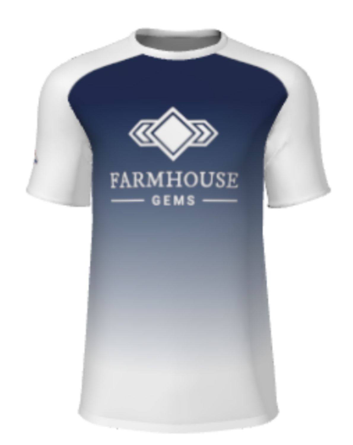 Men's/Youth Farmhouse Gems Replica Tee