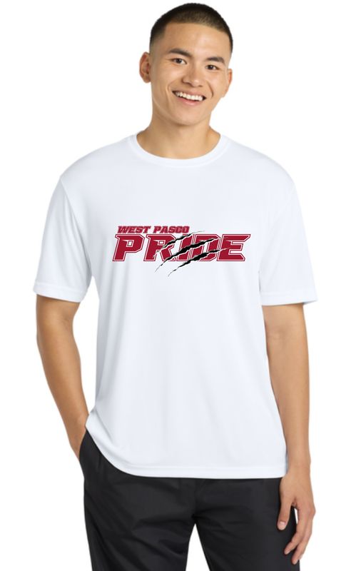 Men's Drifit Classic Tee