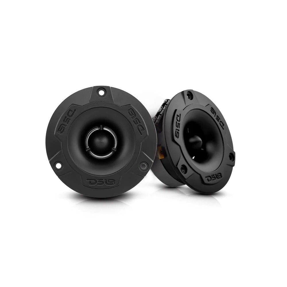 DS18 PRO-TWX1/BK (Pair)