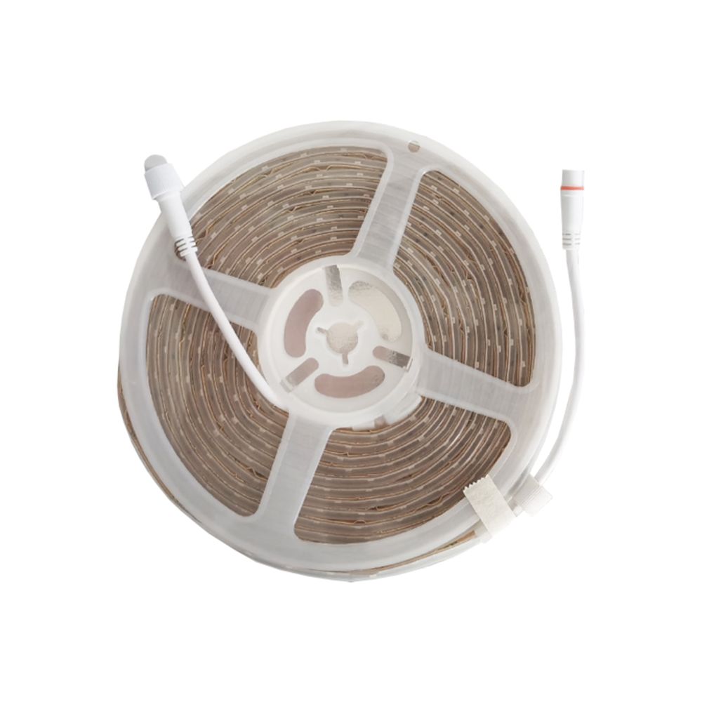 ANGEL LIGHT WHITE LED 5M 110V