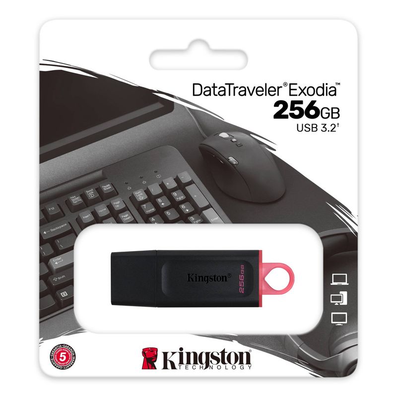 256GB 3.2 FLASH DRIVE KINGSTON