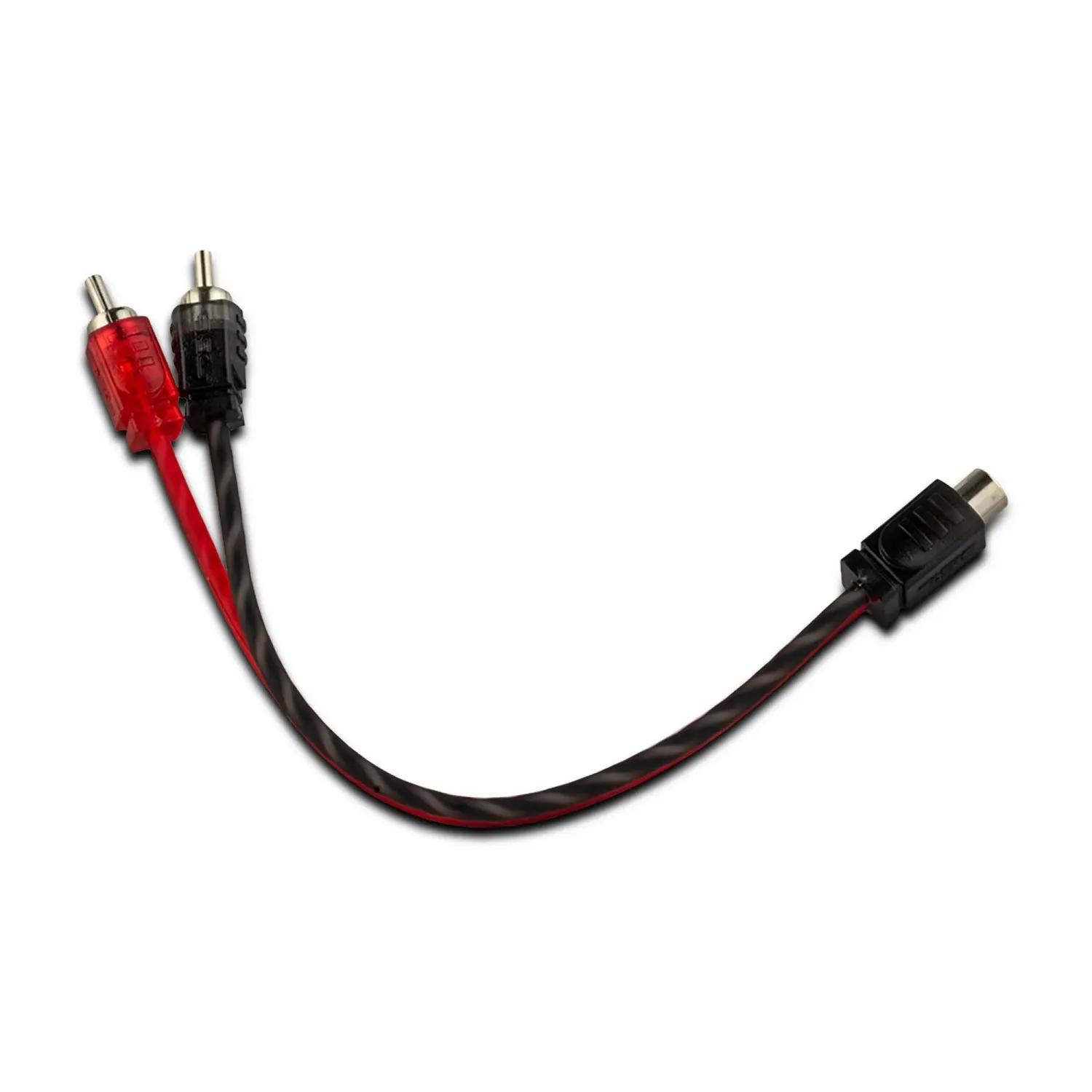 2M1F Y-RCA DS18