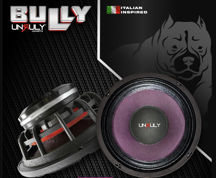 BLY.MID6N UNRULY 6.5" Neodymium 8ohm