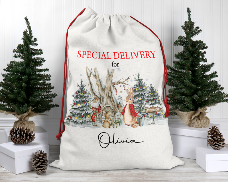 Personalised Santa Sack, Christmas Sack, Personalised Christmas Sack - Name, Initial Christmas Gift Bag, Christmas Keepsake Peter Rabbit Theme