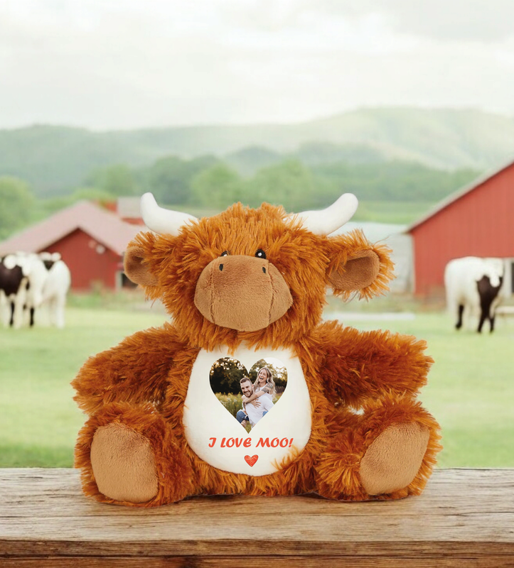 Valentines Teddy Gift Photo Gift Soft Teddy Add your Photo and Message