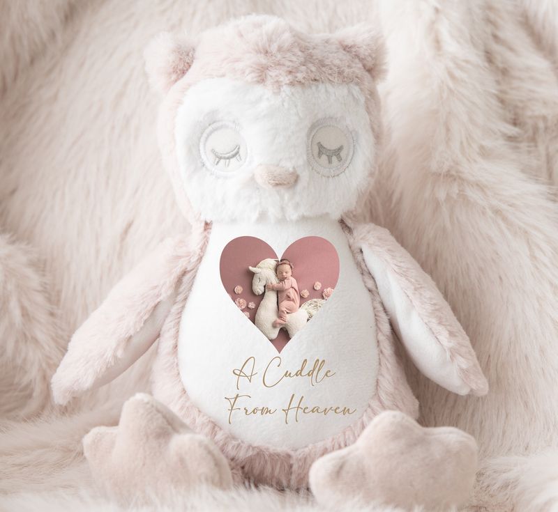 Personalised Memorial Owl Teddy Cuddle from Heaven Owl Add your Picture and message