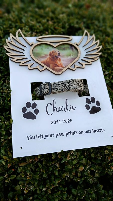Personalised Memorial Plaque Dog/Cat Collar Holder Memory Gift Pet Memorial